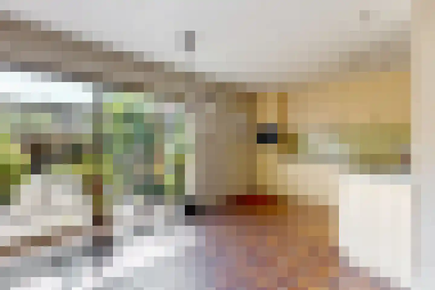 Zuiderpad 57 Zuidoostbeemster thumbnail 7