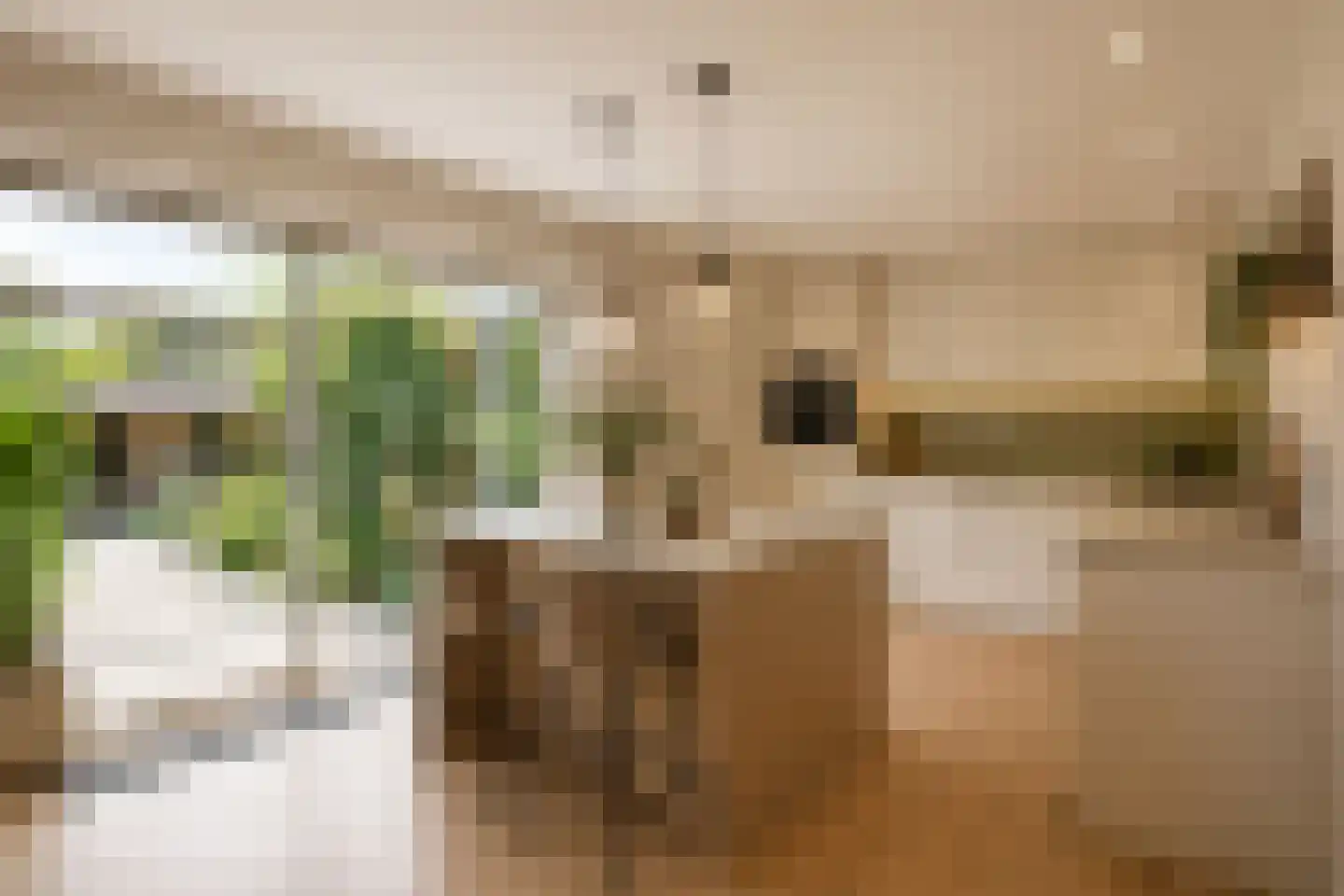 Zuiderpad 57 Zuidoostbeemster thumbnail 8