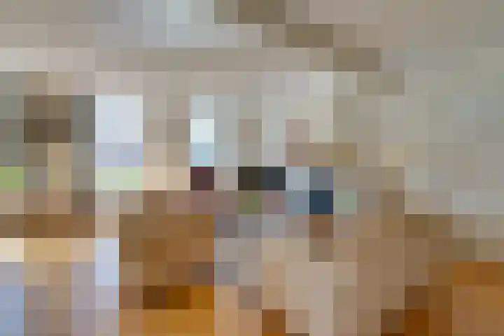 Zuiderpad 62 Zuidoostbeemster thumbnail 10