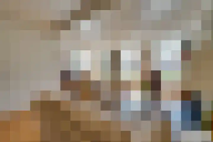 Zuiderpad 62 Zuidoostbeemster thumbnail 11