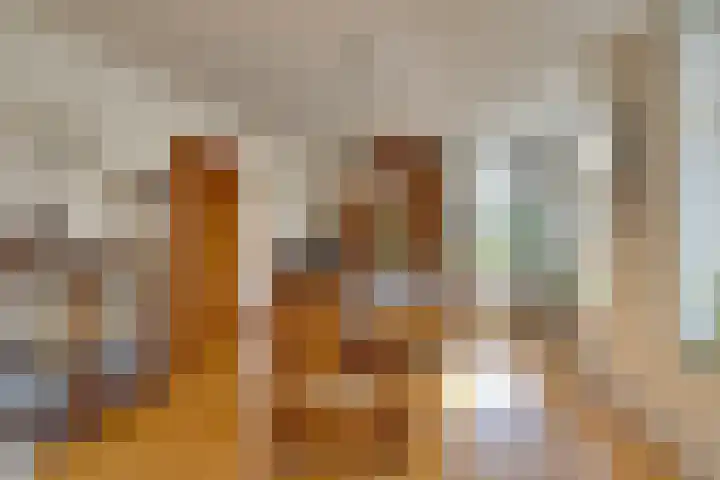 Zuiderpad 62 Zuidoostbeemster thumbnail 13