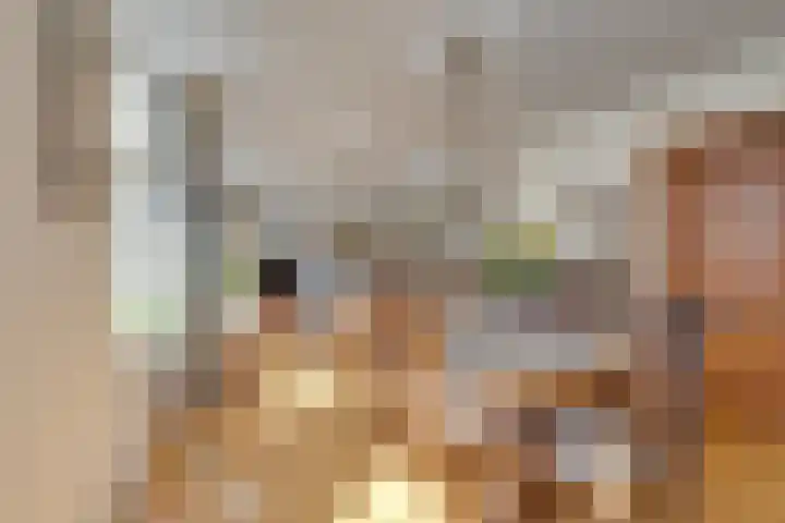 Zuiderpad 62 Zuidoostbeemster thumbnail 18