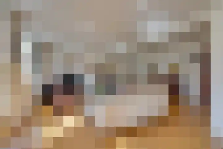 Zuiderpad 62 Zuidoostbeemster thumbnail 19