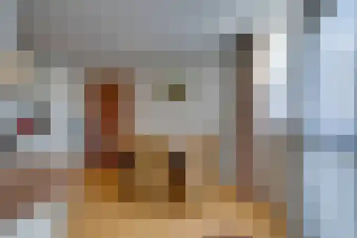 Zuiderpad 62 Zuidoostbeemster thumbnail 20