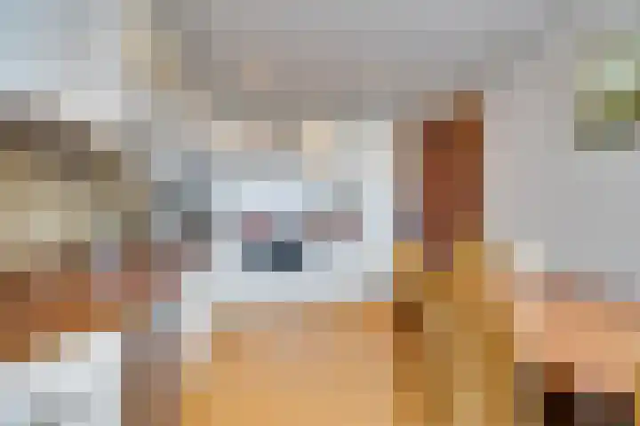 Zuiderpad 62 Zuidoostbeemster thumbnail 21