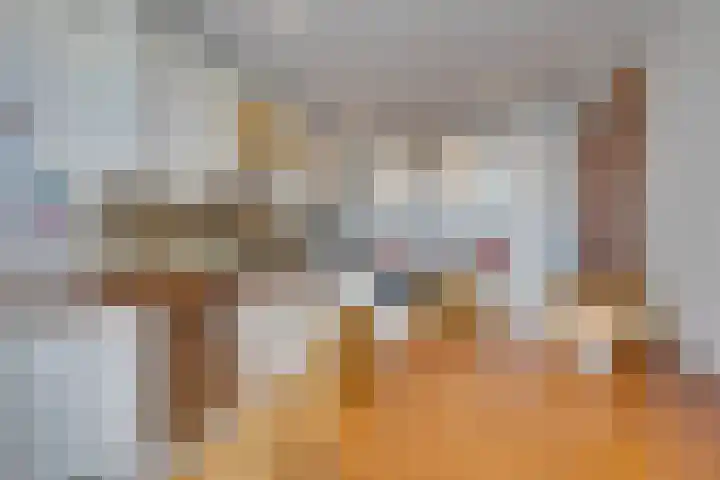 Zuiderpad 62 Zuidoostbeemster thumbnail 22