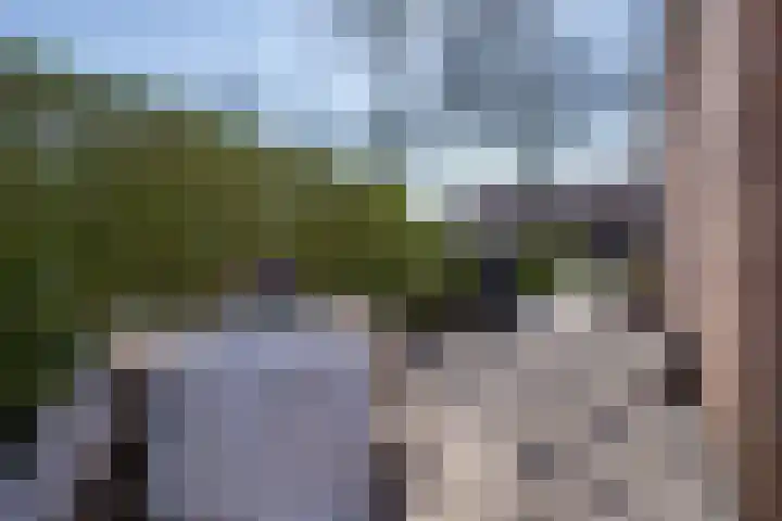 Zuiderpad 62 Zuidoostbeemster thumbnail 26
