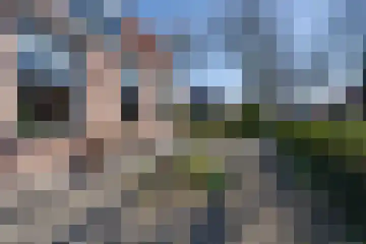 Zuiderpad 62 Zuidoostbeemster thumbnail 28