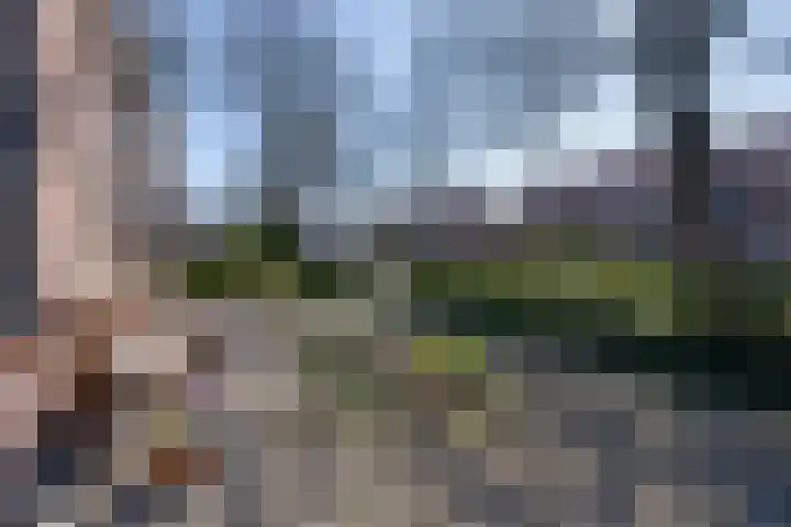 Zuiderpad 62 Zuidoostbeemster thumbnail 29