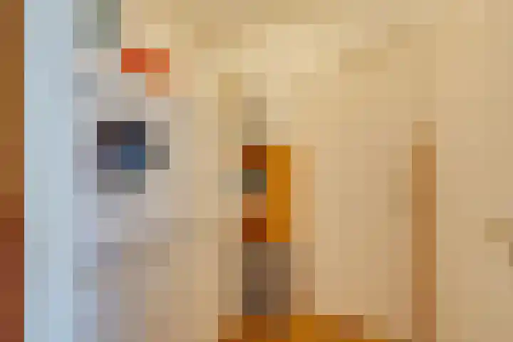 Zuiderpad 62 Zuidoostbeemster thumbnail 32
