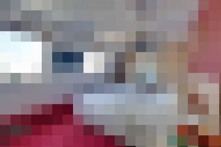 Zuiderpad 62 Zuidoostbeemster thumbnail 33