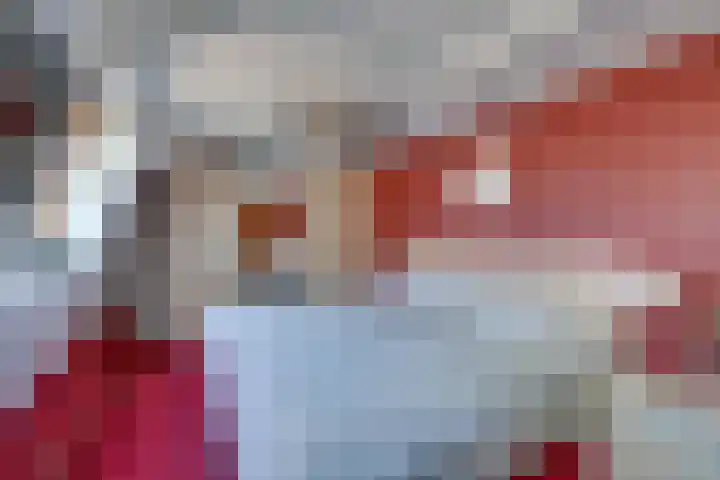 Zuiderpad 62 Zuidoostbeemster thumbnail 34