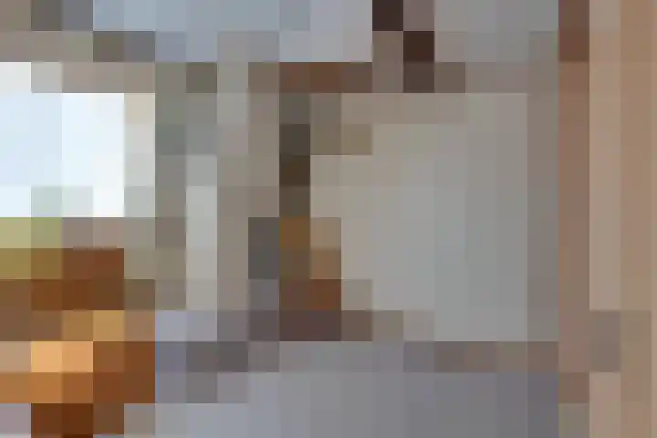 Zuiderpad 62 Zuidoostbeemster thumbnail 38
