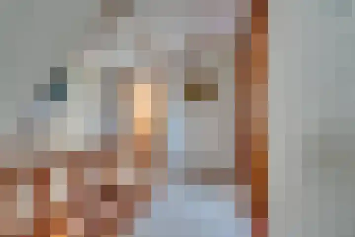 Zuiderpad 62 Zuidoostbeemster thumbnail 39