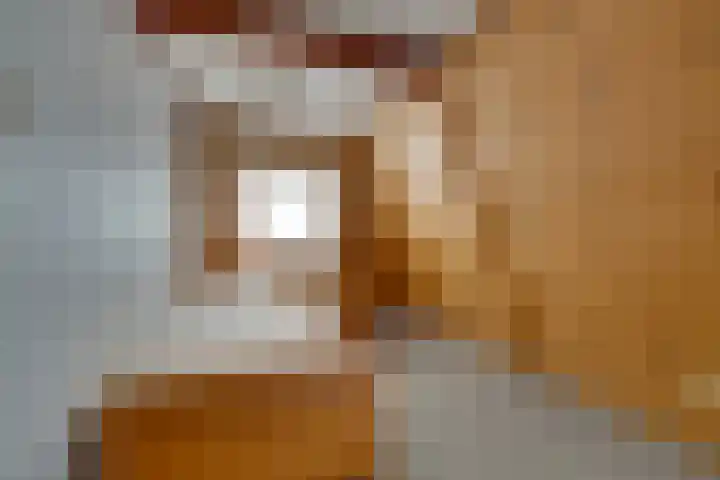 Zuiderpad 62 Zuidoostbeemster thumbnail 40