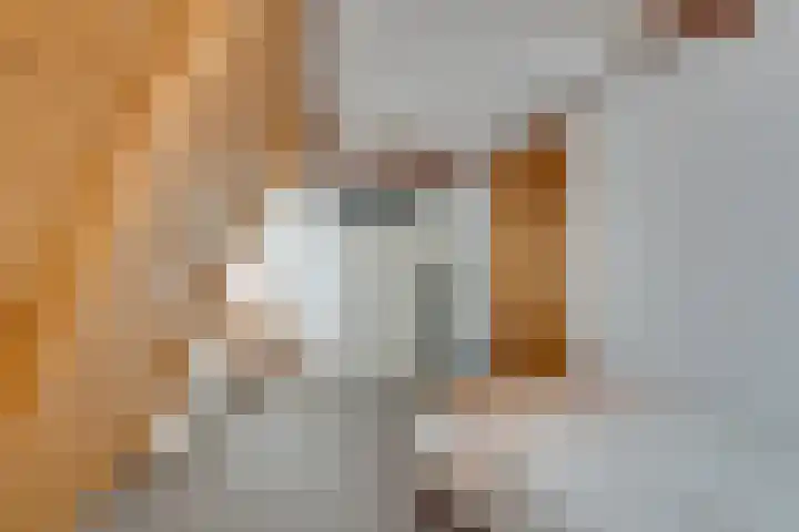 Zuiderpad 62 Zuidoostbeemster thumbnail 42