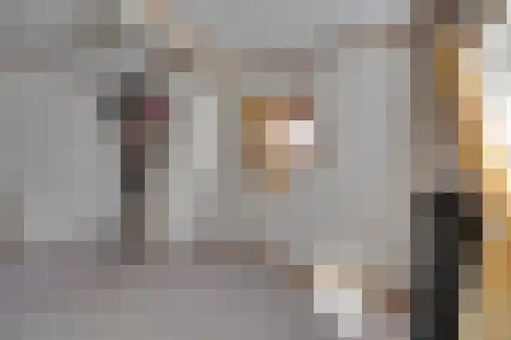 Zuiderpad 62 Zuidoostbeemster thumbnail 44