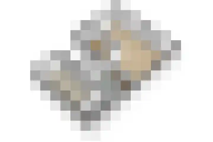 Zuiderpad 62 Zuidoostbeemster thumbnail 51