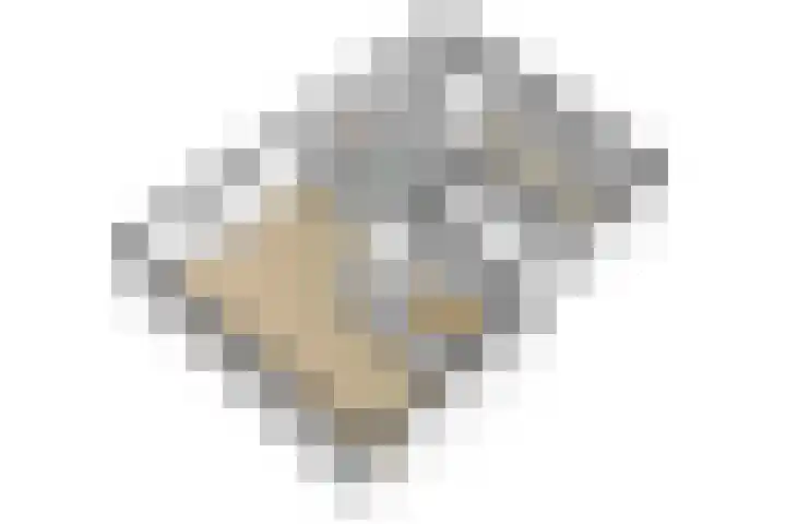 Zuiderpad 62 Zuidoostbeemster thumbnail 52