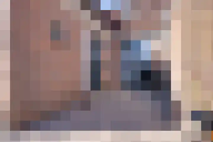 Zuiderpad 62 Zuidoostbeemster thumbnail 7