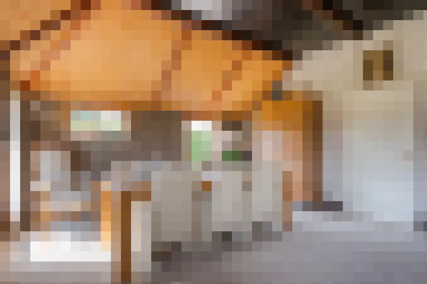 Zuiderpad 7 Giethoorn thumbnail 24