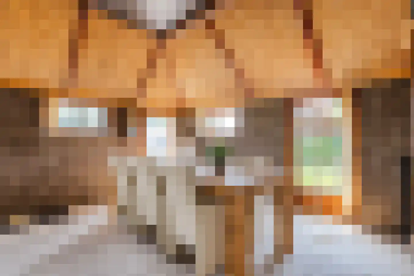 Zuiderpad 7 Giethoorn thumbnail 25