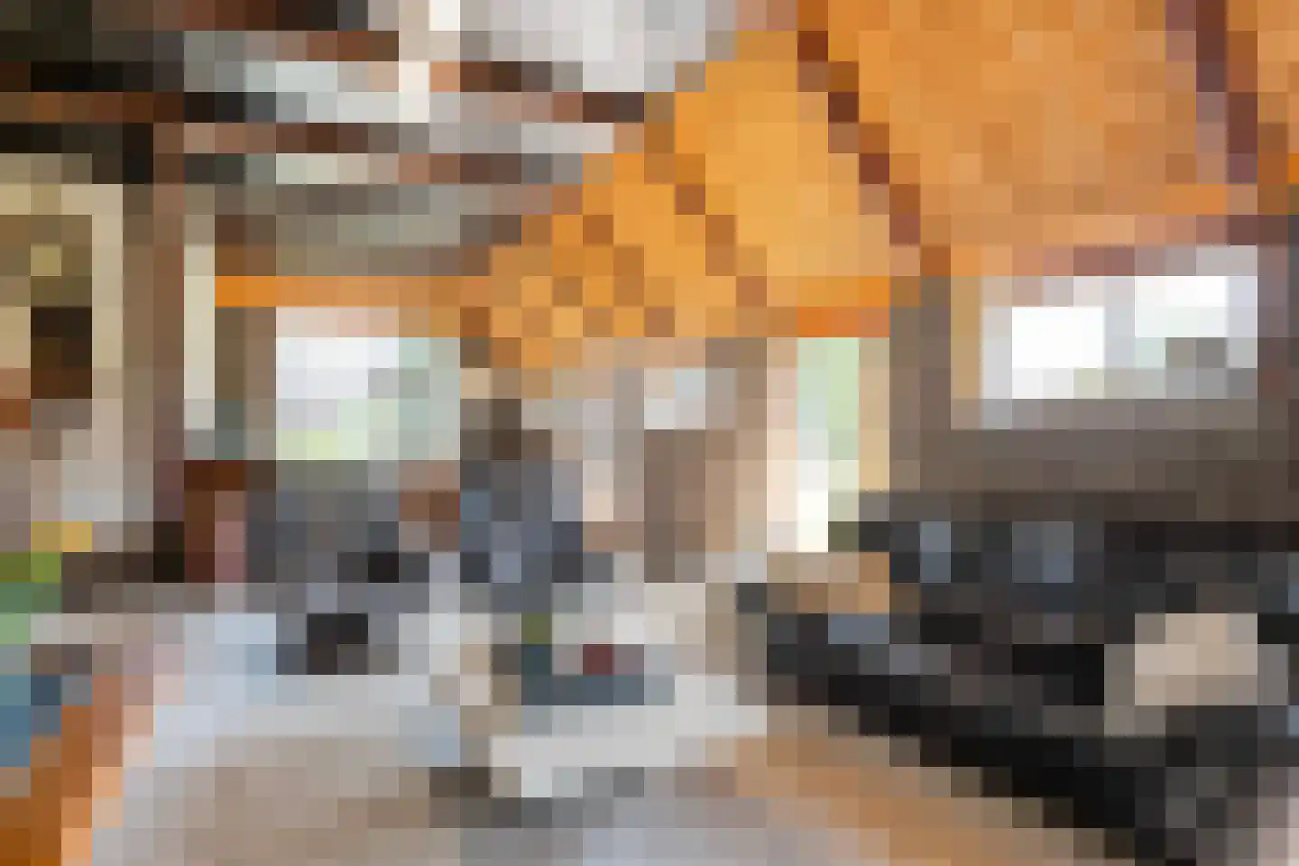 Zuiderpad 7 Giethoorn thumbnail 28