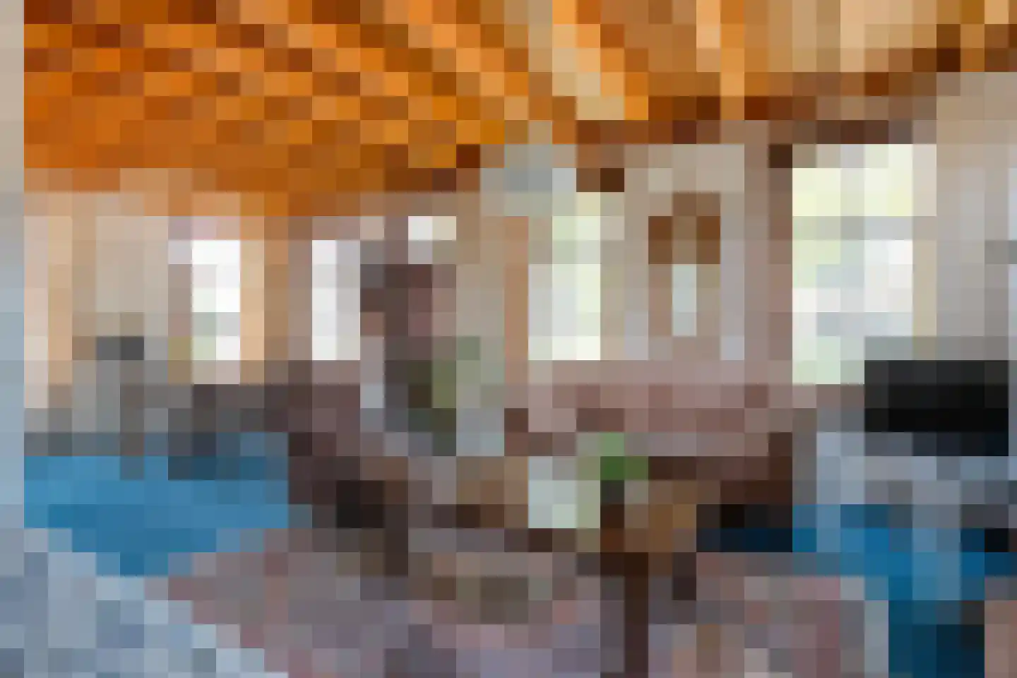 Zuiderpad 7 Giethoorn thumbnail 6