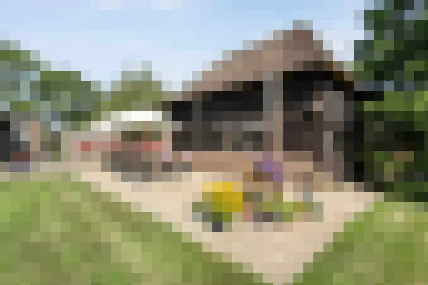 Zuiderpad 7 Giethoorn thumbnail 60