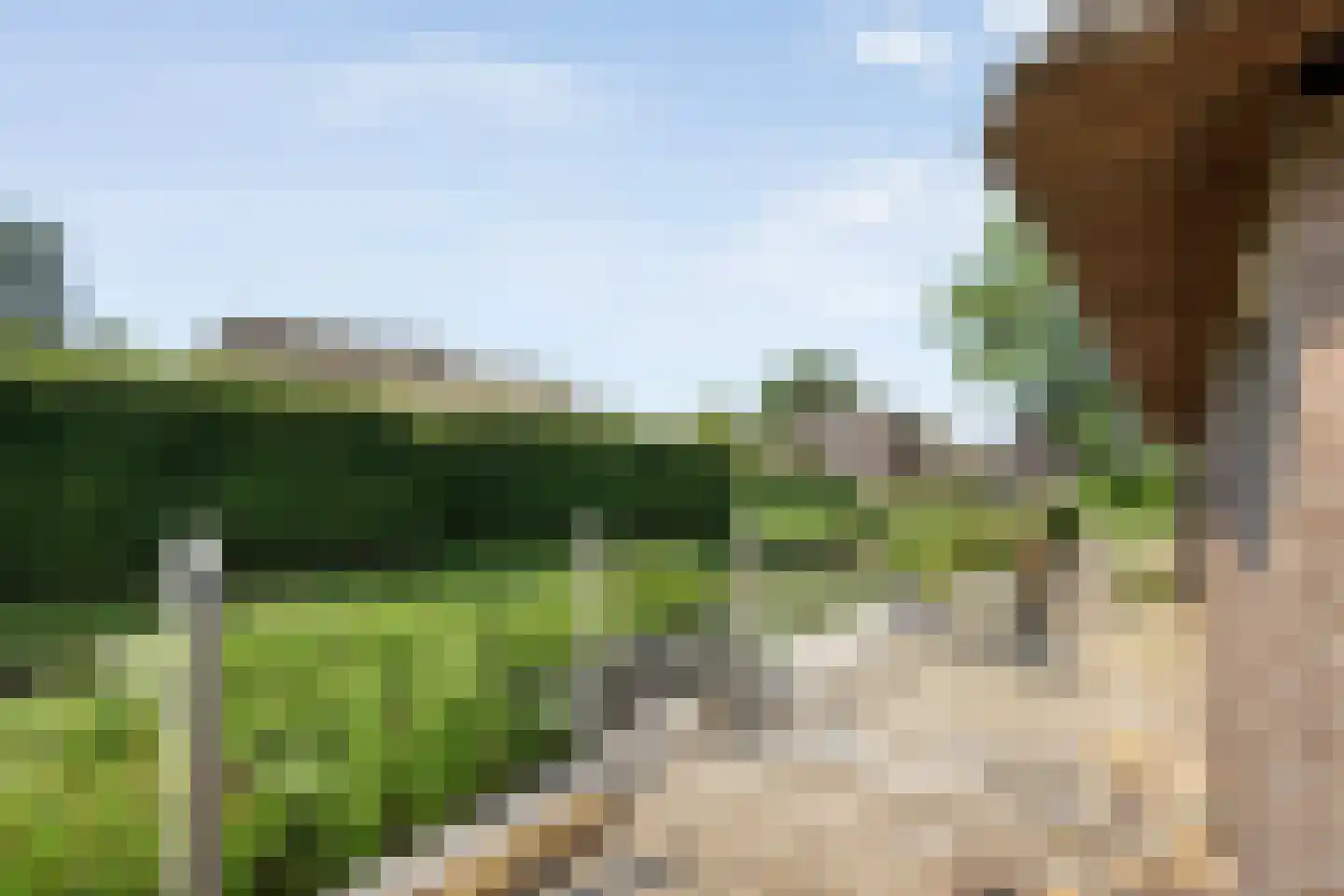 Zuiderpad 7 Giethoorn thumbnail 64