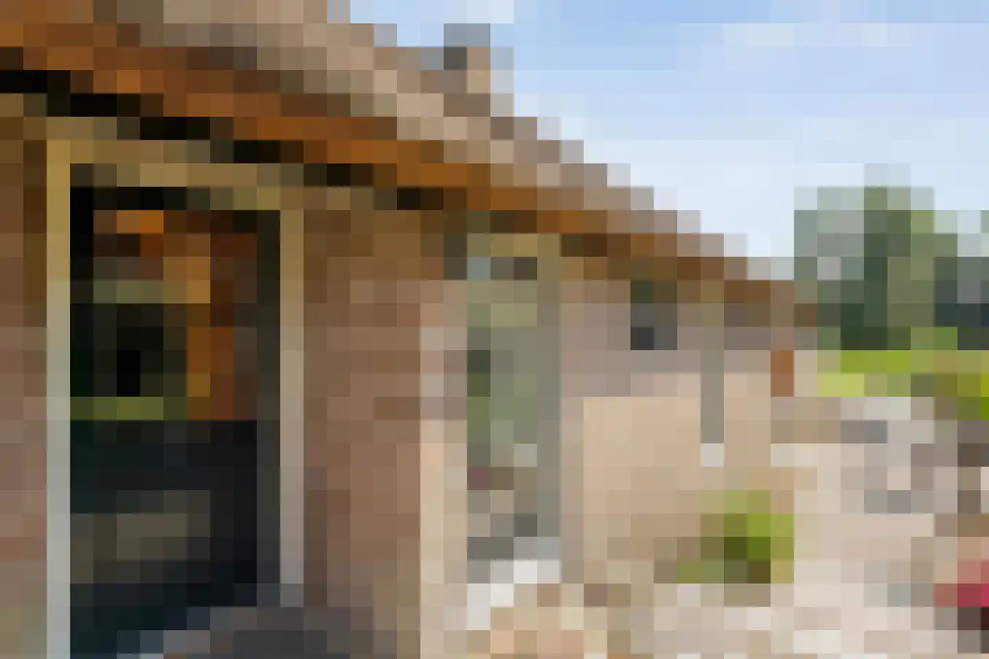 Zuiderpad 7 Giethoorn thumbnail 65