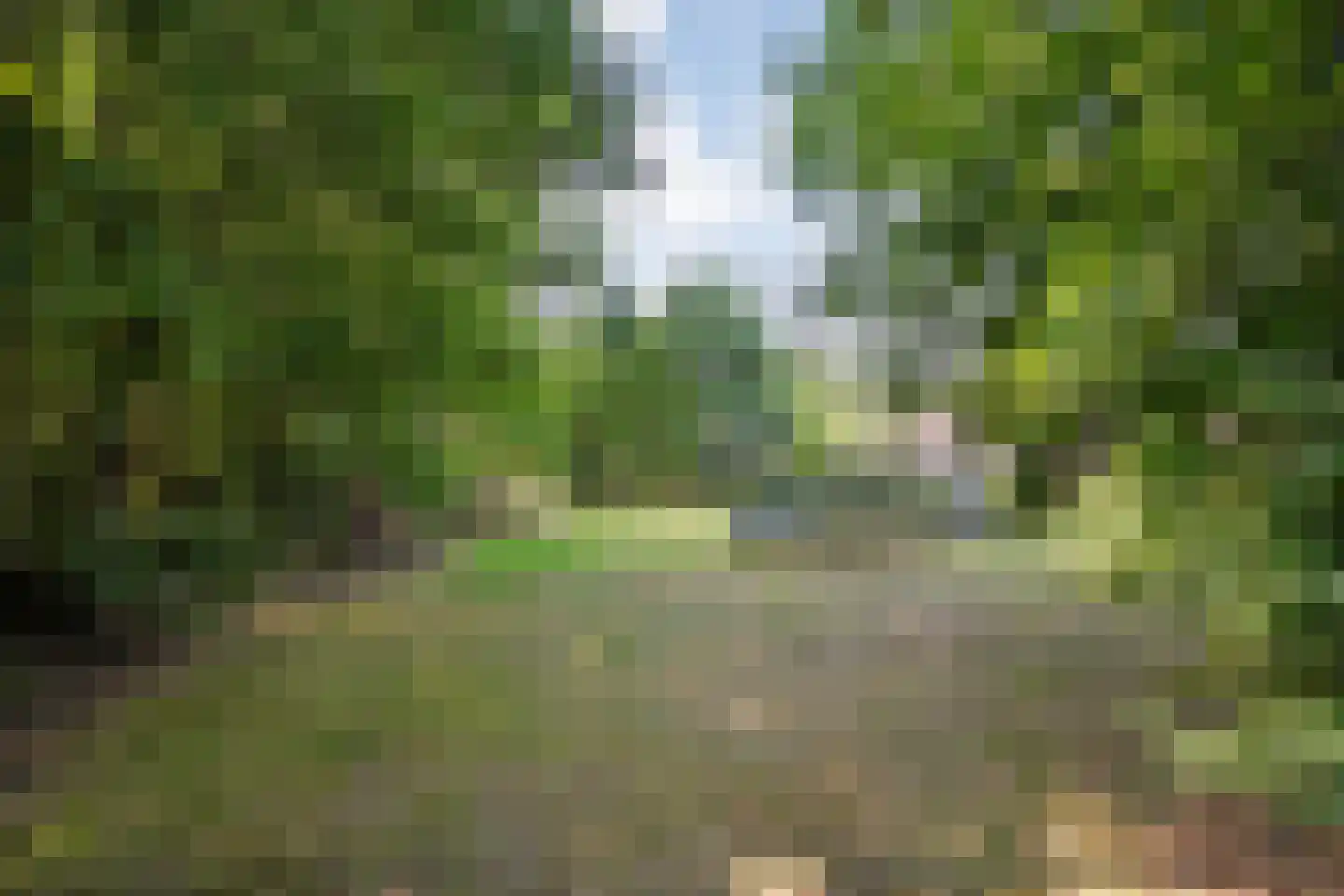 Zuiderpad 7 Giethoorn thumbnail 71