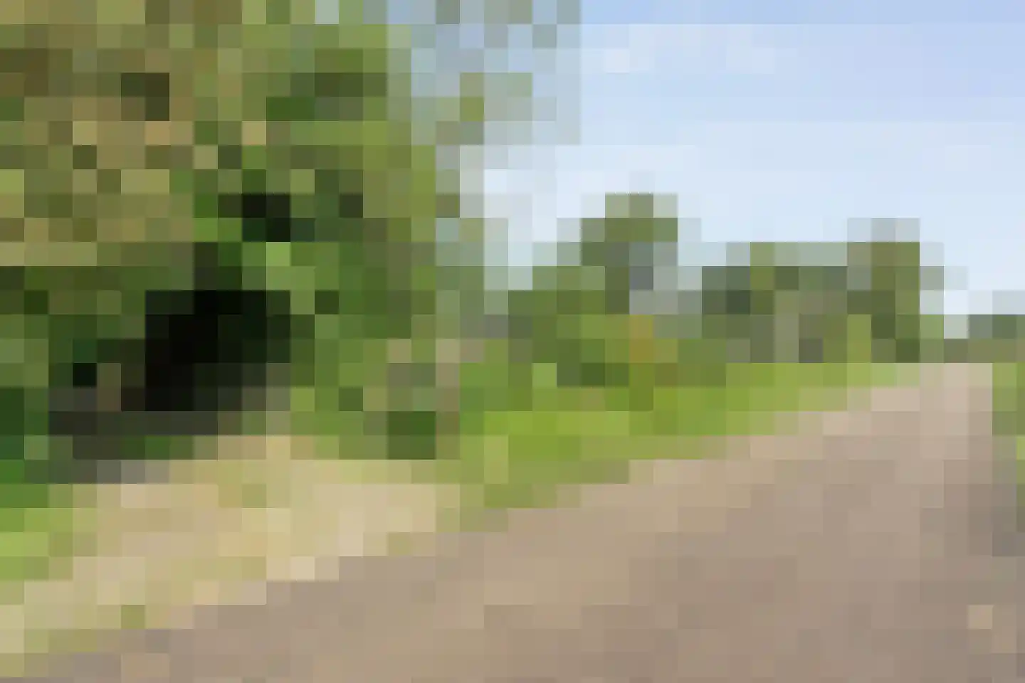 Zuiderpad 7 Giethoorn thumbnail 78