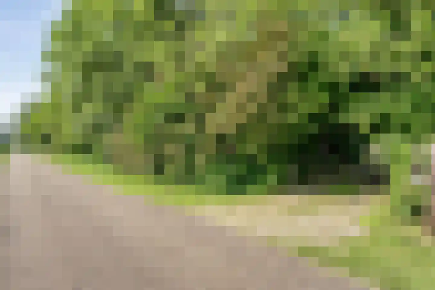Zuiderpad 7 Giethoorn thumbnail 79