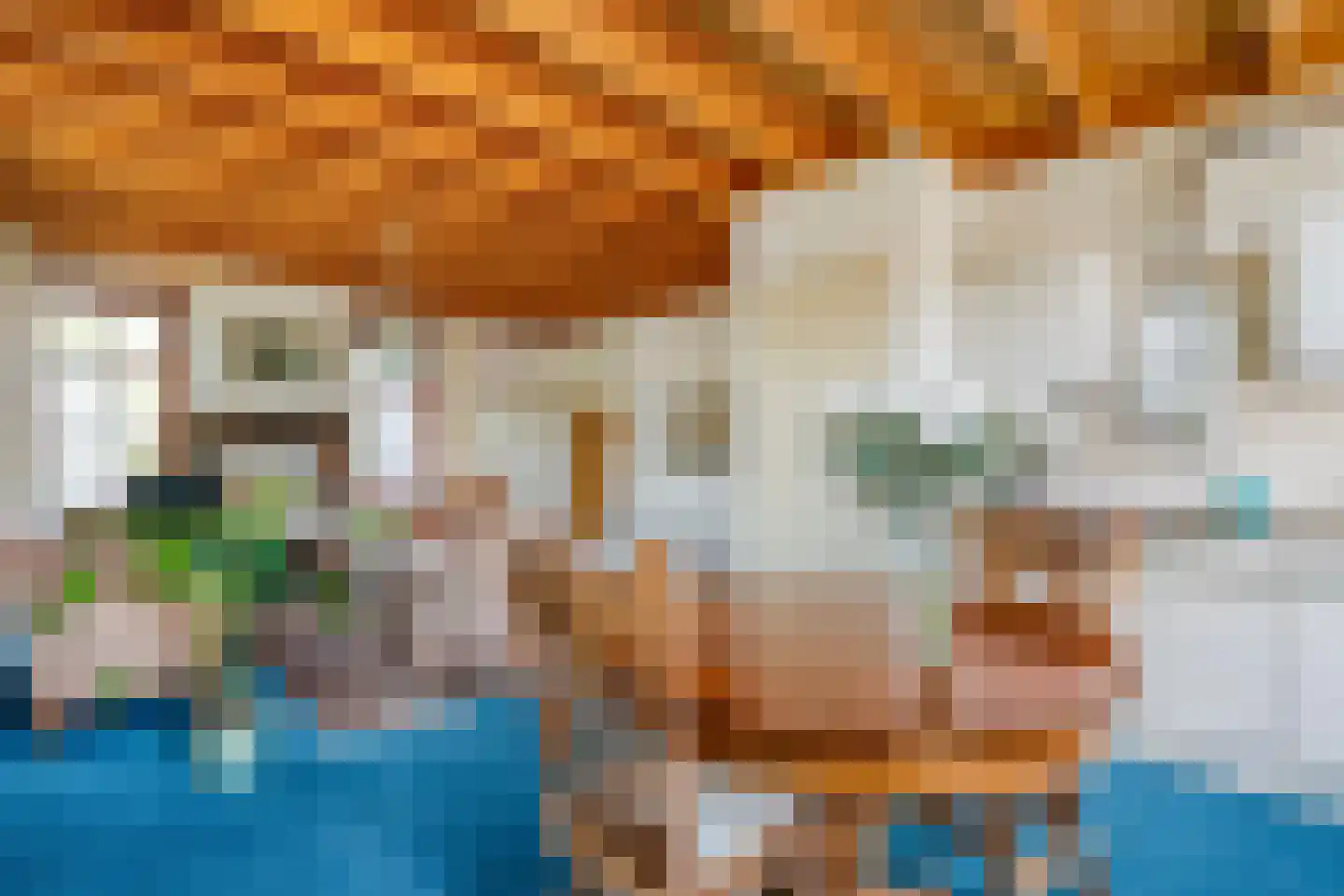 Zuiderpad 7 Giethoorn thumbnail 8