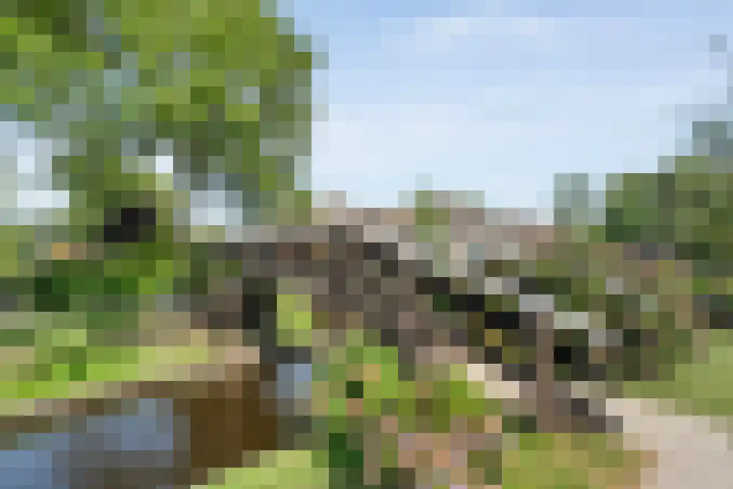 Zuiderpad 7 Giethoorn thumbnail 83