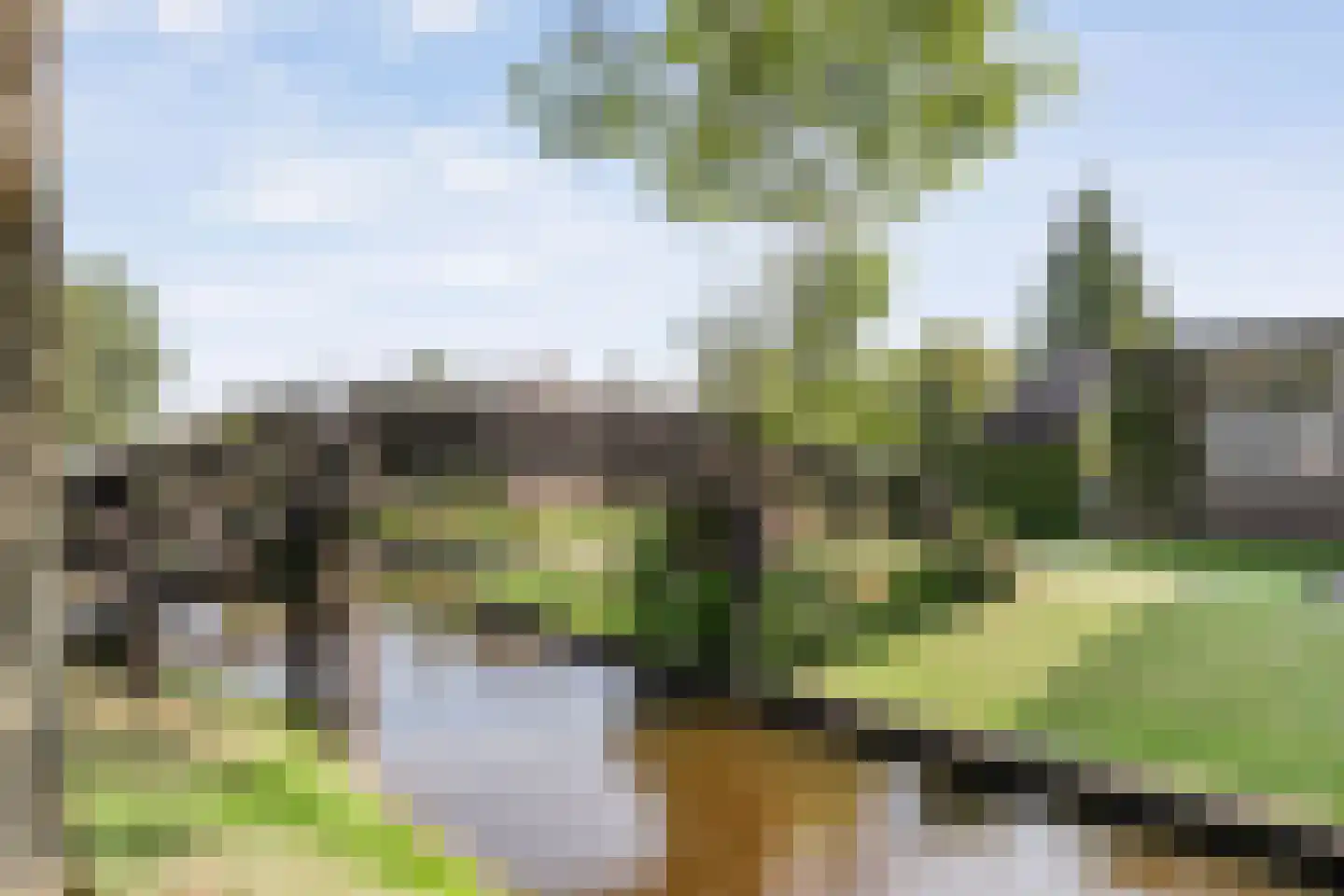 Zuiderpad 7 Giethoorn thumbnail 85