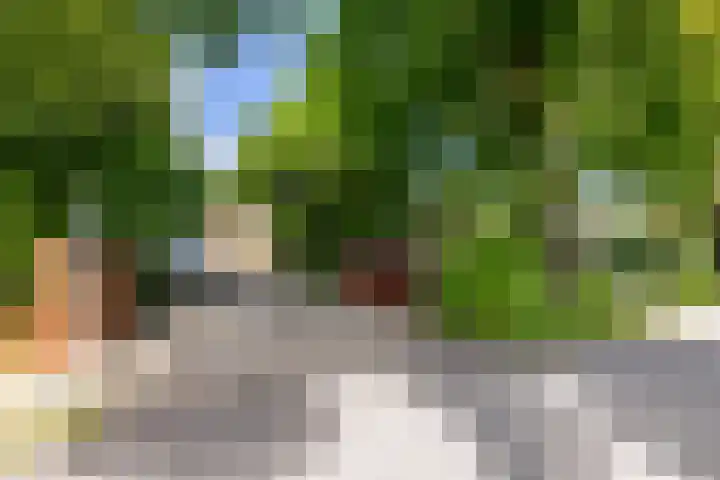 Zuiderpad 7 Zuidoostbeemster thumbnail 11