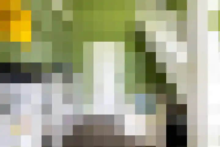 Zuiderpad 7 Zuidoostbeemster thumbnail 17