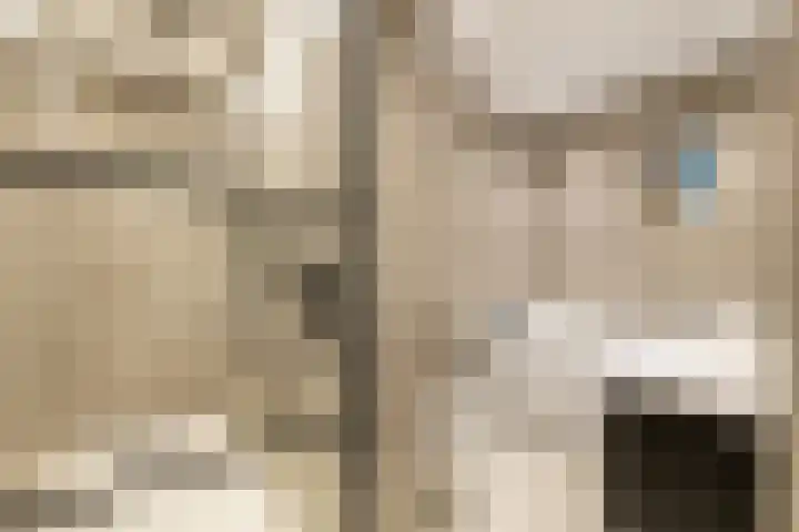 Zuiderpad 7 Zuidoostbeemster thumbnail 34