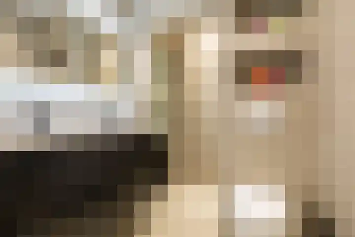 Zuiderpad 7 Zuidoostbeemster thumbnail 36