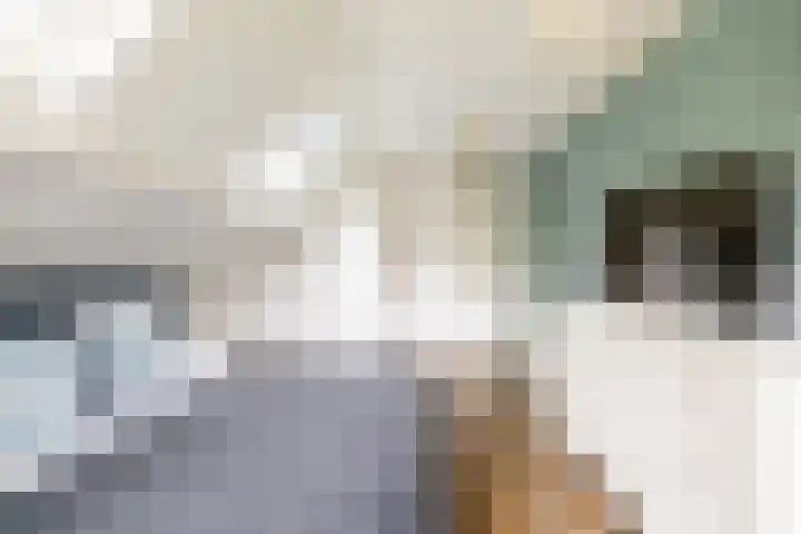 Zuiderpad 7 Zuidoostbeemster thumbnail 43