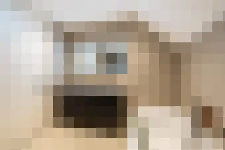 Zuiderpad 7 Zuidoostbeemster thumbnail 53