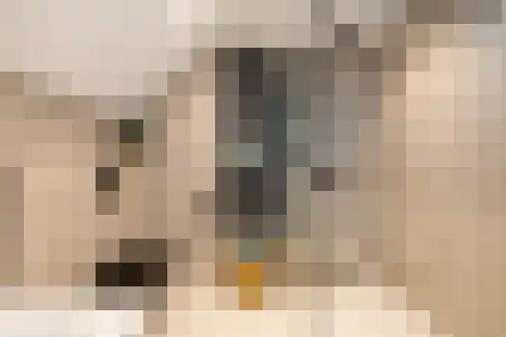 Zuiderpad 7 Zuidoostbeemster thumbnail 54