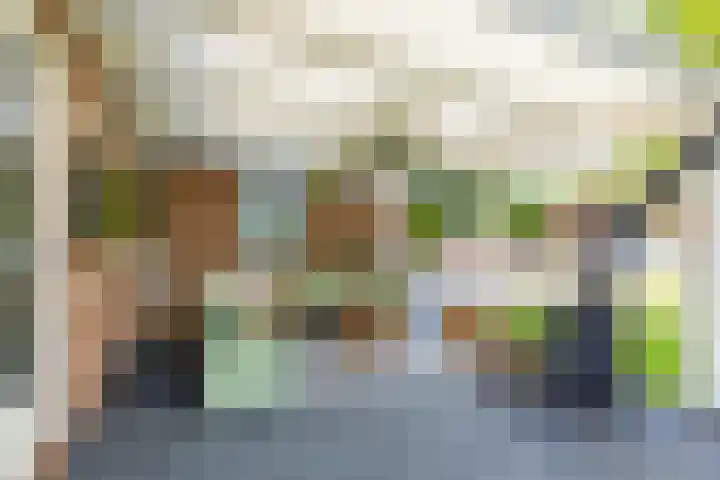Zuiderpad 7 Zuidoostbeemster thumbnail 59