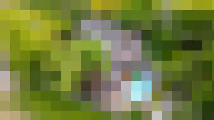 Zuiderpad 7 Zuidoostbeemster thumbnail 6