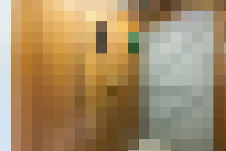 Zuiderpad 7 Zuidoostbeemster thumbnail 68