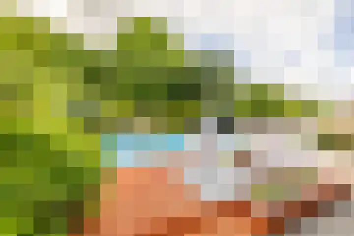 Zuiderpad 7 Zuidoostbeemster thumbnail 71