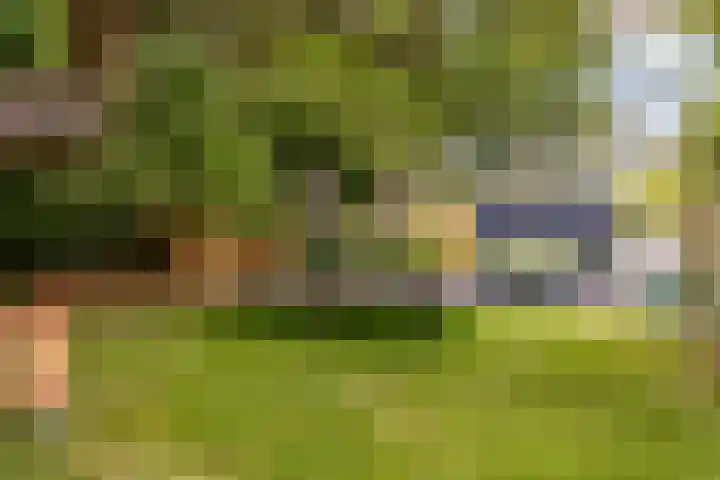 Zuiderpad 7 Zuidoostbeemster thumbnail 73