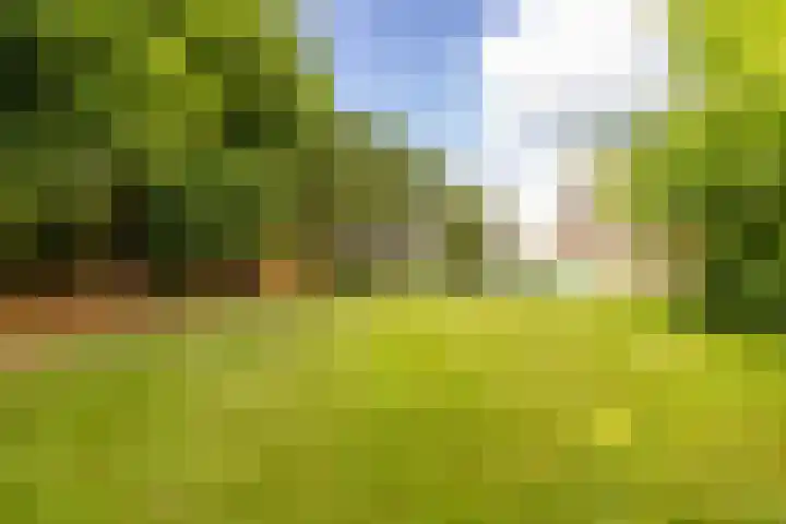 Zuiderpad 7 Zuidoostbeemster thumbnail 74